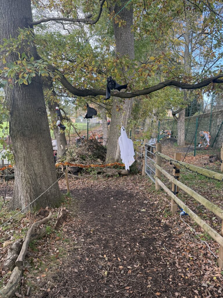 A spooky Halloween walk with pretend ghosts floating from trees